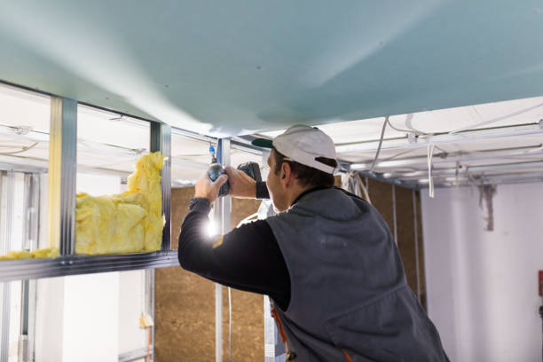 Best Wall Insulation Installation  in St John, KS